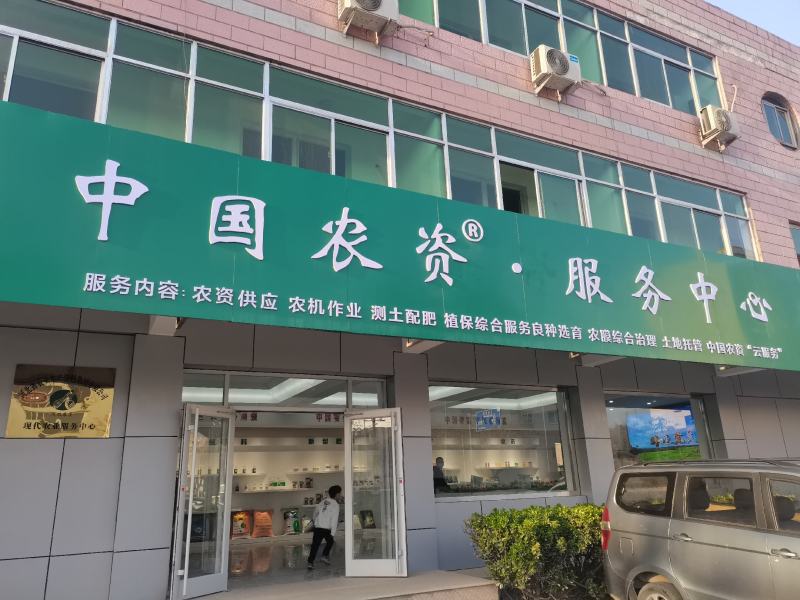 常年批发早熟禾草籽高羊茅草籽野花组合种子