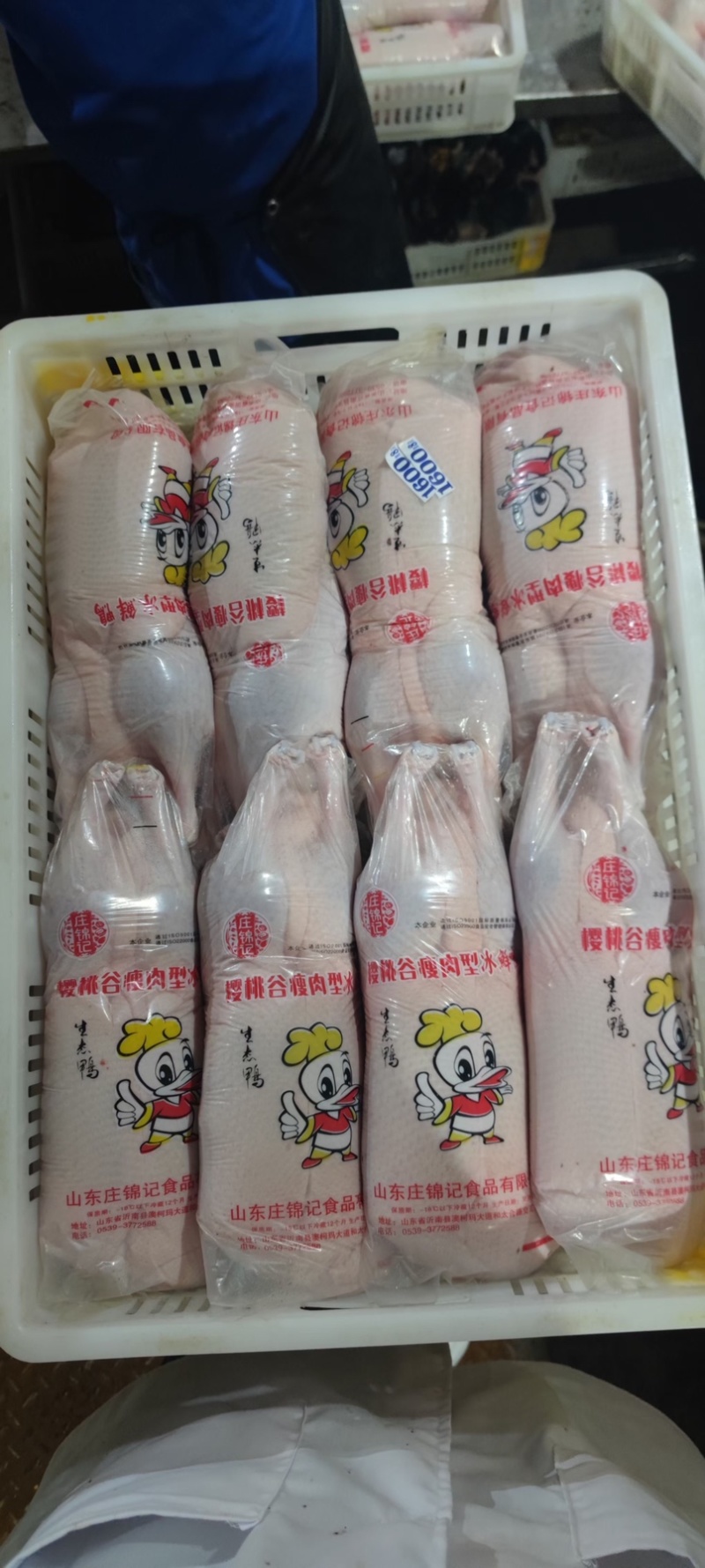 白条鸭
