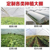 加工定制种植棚蔬菜种植大棚花卉棚大棚骨架温室大棚