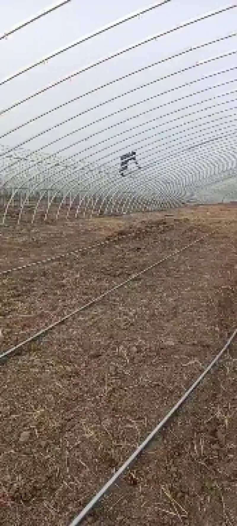 加工定制种植棚蔬菜种植大棚花卉棚大棚骨架温室大棚