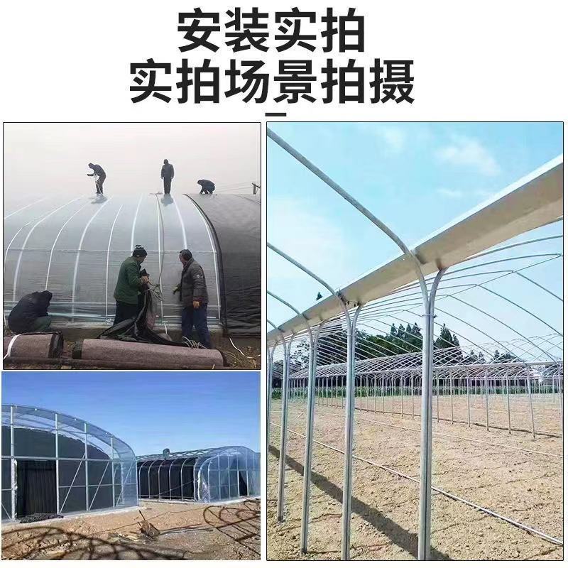 加工定制种植棚蔬菜种植大棚花卉棚大棚骨架温室大棚