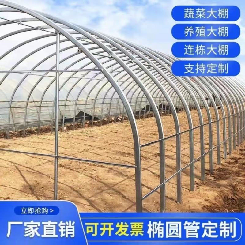 加工定制种植棚蔬菜种植大棚花卉棚大棚骨架温室大棚