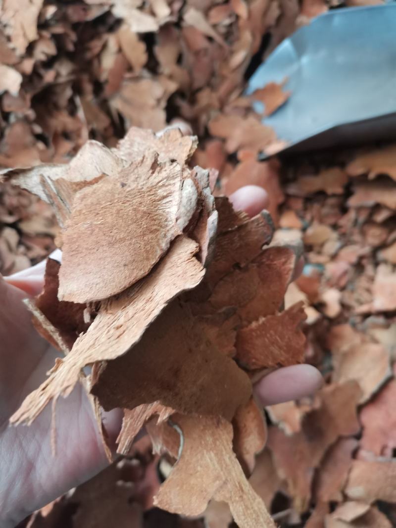 金刚藤拔葜无硫干货薄片干净无杂中药材大全