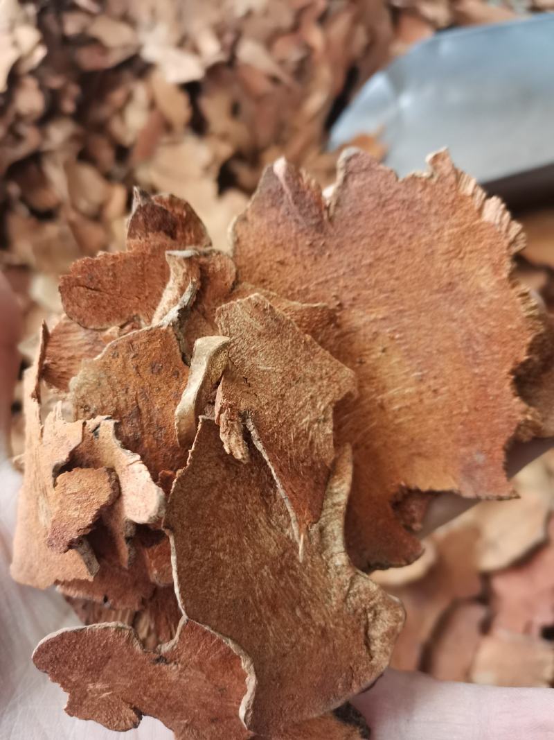 金刚藤拔葜无硫干货薄片干净无杂中药材大全