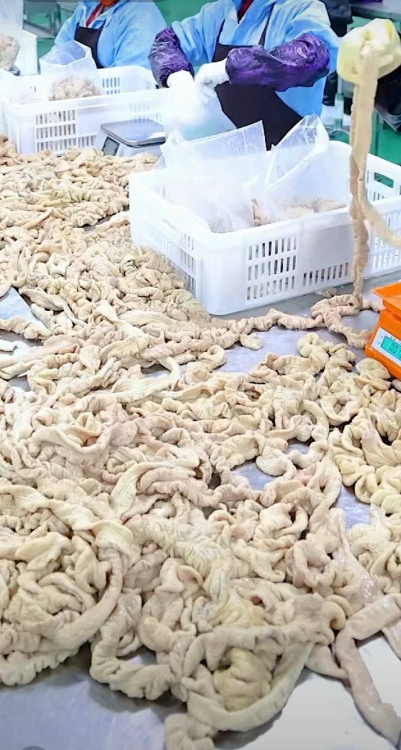 猪副产品