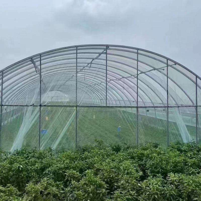 种植大棚草莓种植大棚西瓜圆管棚种植棚大棚骨架及配
