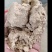 谷子粉，小米粉，蛋白8，纤维8灰分6淀粉49