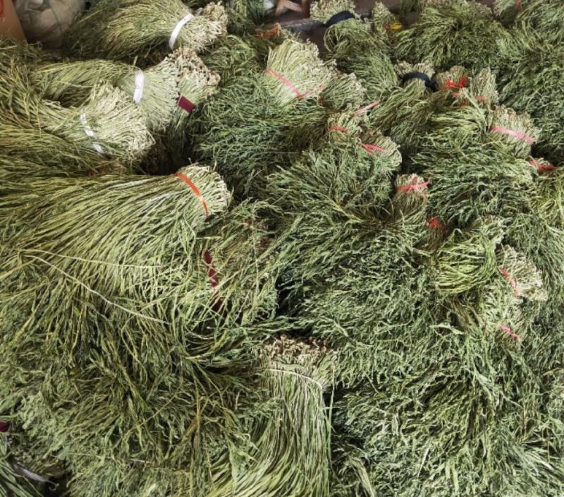 二级贡菜相比一级颜色上有些许变化其口感没有变化