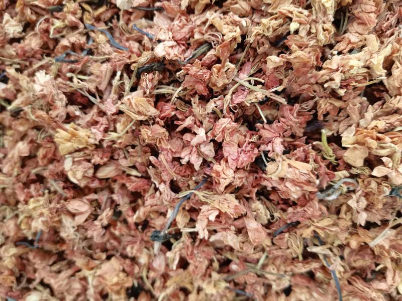 罗汉果花