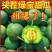 绿宝香瓜电商一件代发甜脆东北香瓜整箱包邮批发