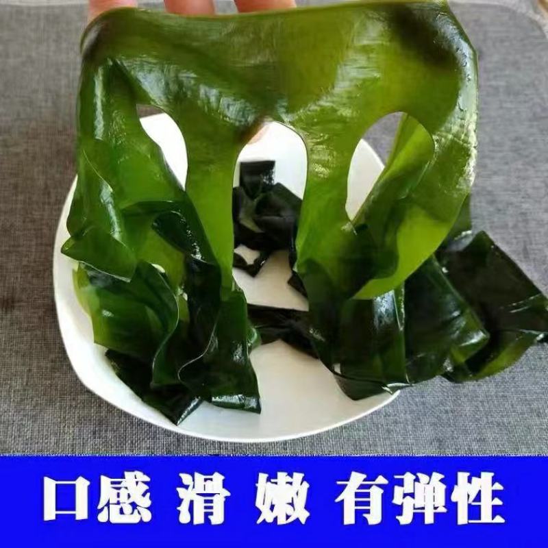 干燥裙带菜，网红裙带菜，15倍泡发，颜色绿