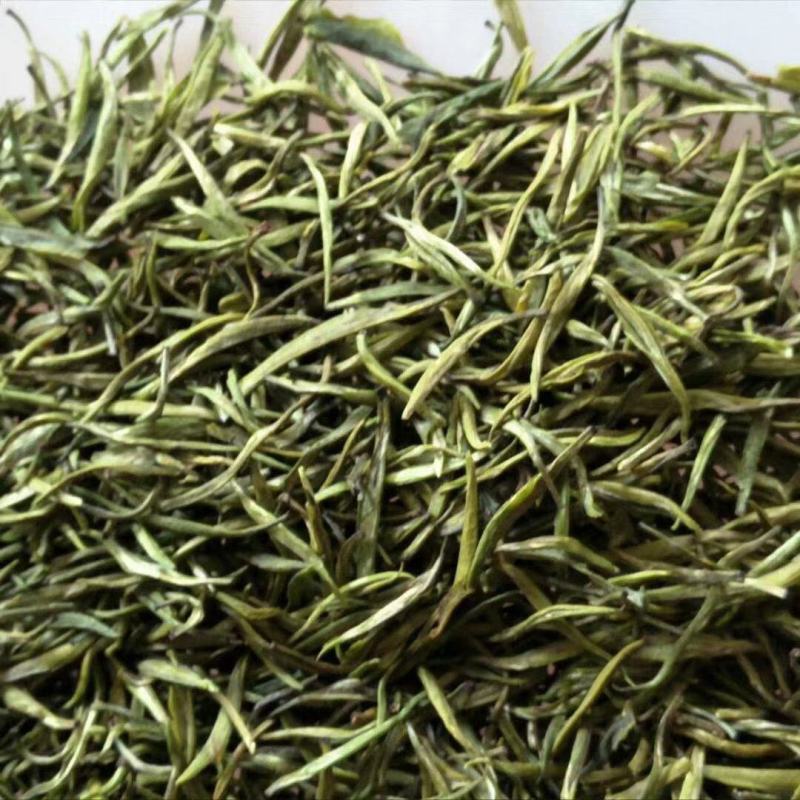 竹叶青原料：普洱云抗十号等级：特级单芽今日竹叶青