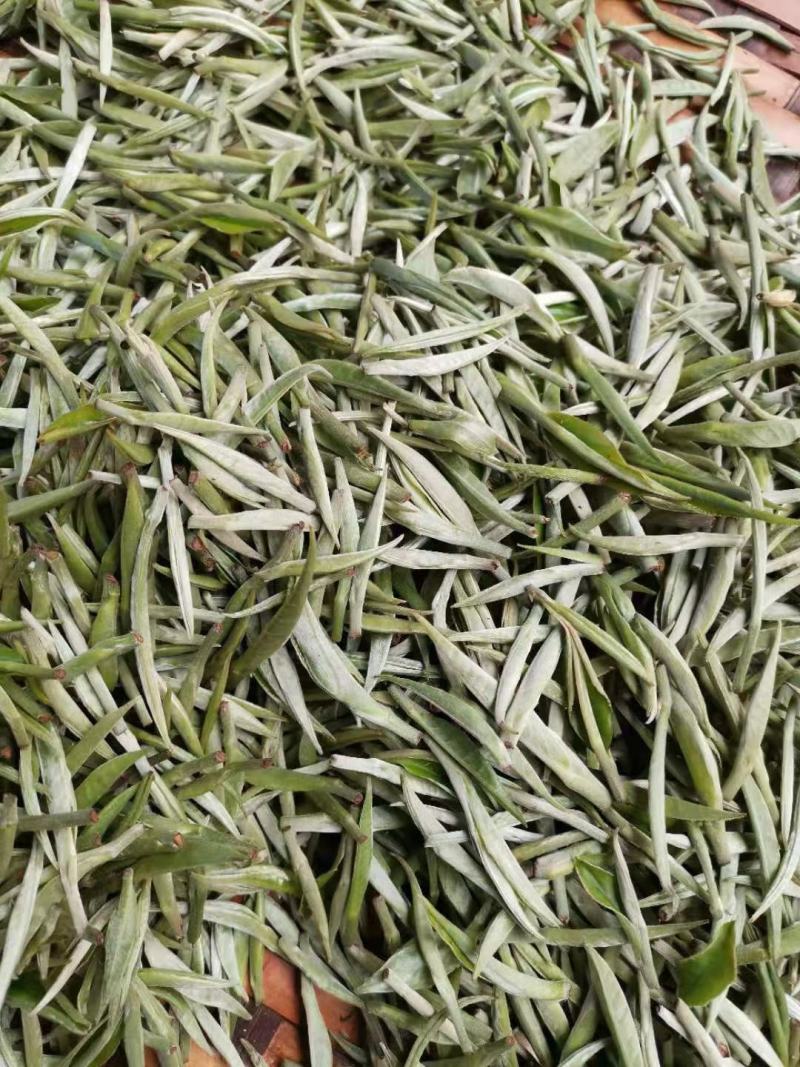 竹叶青原料：普洱云抗十号等级：特级单芽今日竹叶青