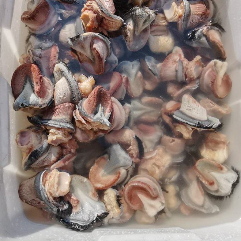 新鲜驴蹄精品新鲜驴肉带皮驴肉，厂家直发，货源充足品质保证