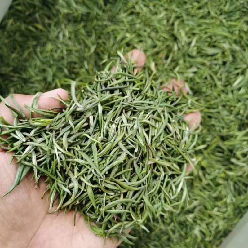 竹叶青原料：普洱云抗十号等级：特级单芽今日竹叶青