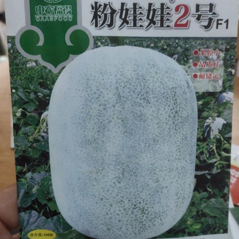 冬瓜种子粉娃娃2号早熟性好，瓜短椭圆，膨瓜速度