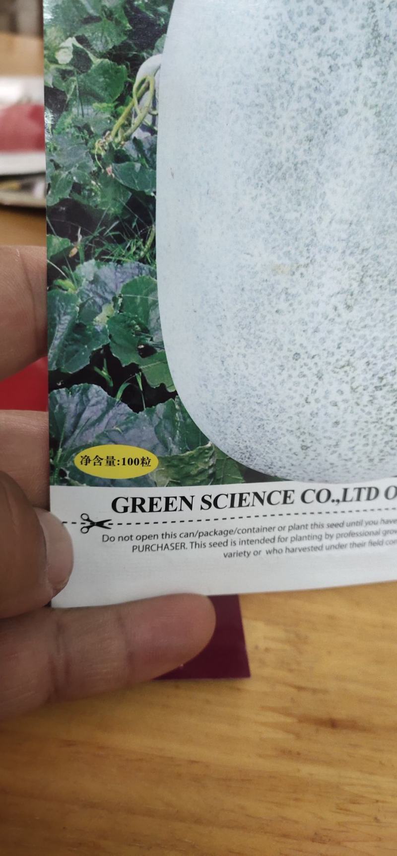 冬瓜种子粉娃娃2号早熟性好，瓜短椭圆，膨瓜速度