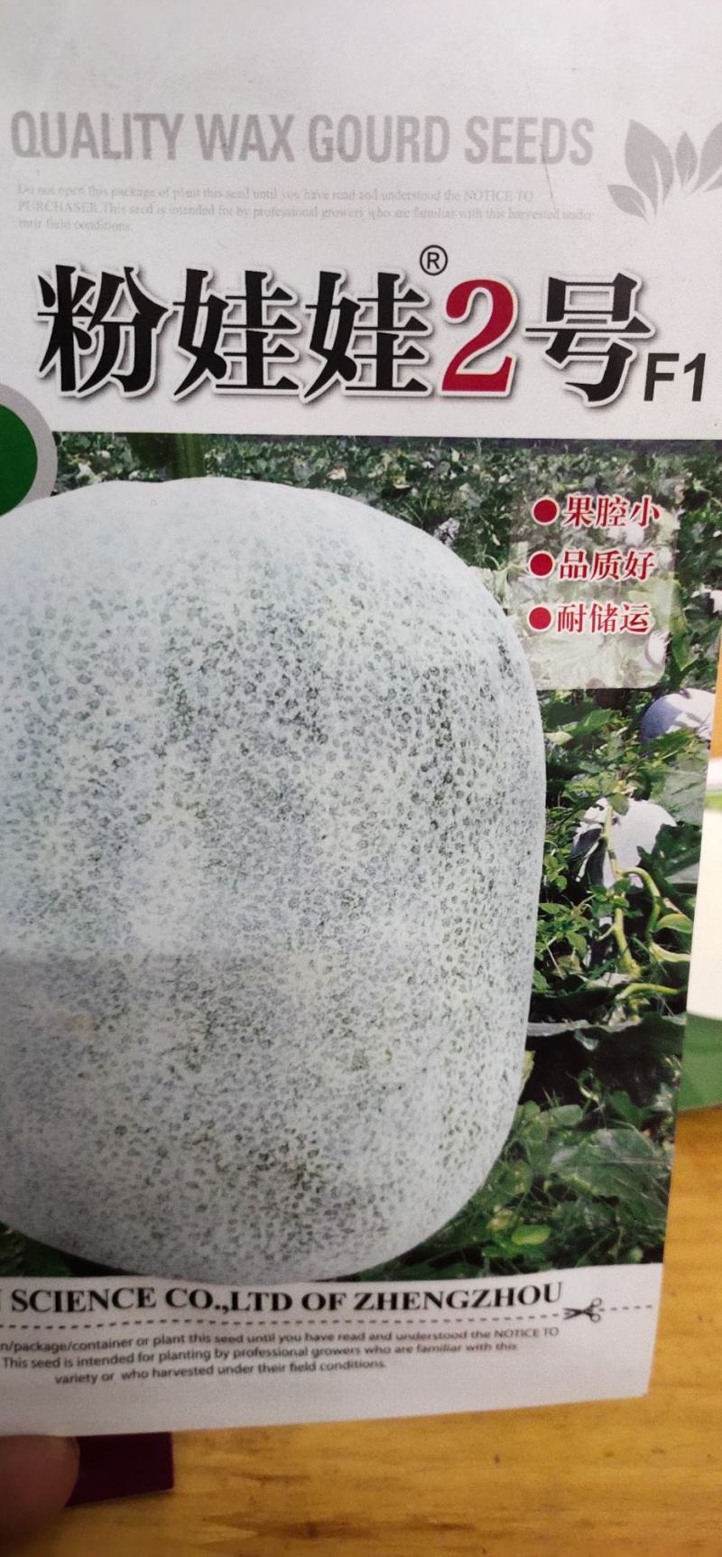 冬瓜种子粉娃娃2号早熟性好，瓜短椭圆，膨瓜速度