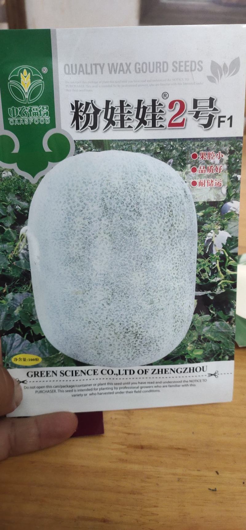 冬瓜种子粉娃娃2号早熟性好，瓜短椭圆，膨瓜速度