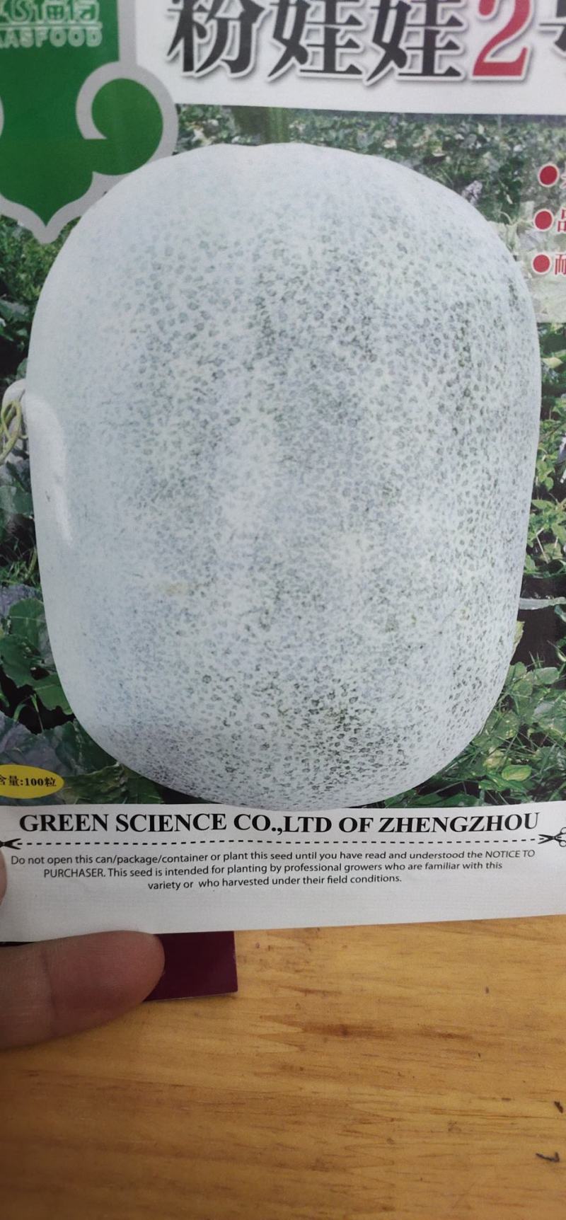 冬瓜种子粉娃娃2号早熟性好，瓜短椭圆，膨瓜速度