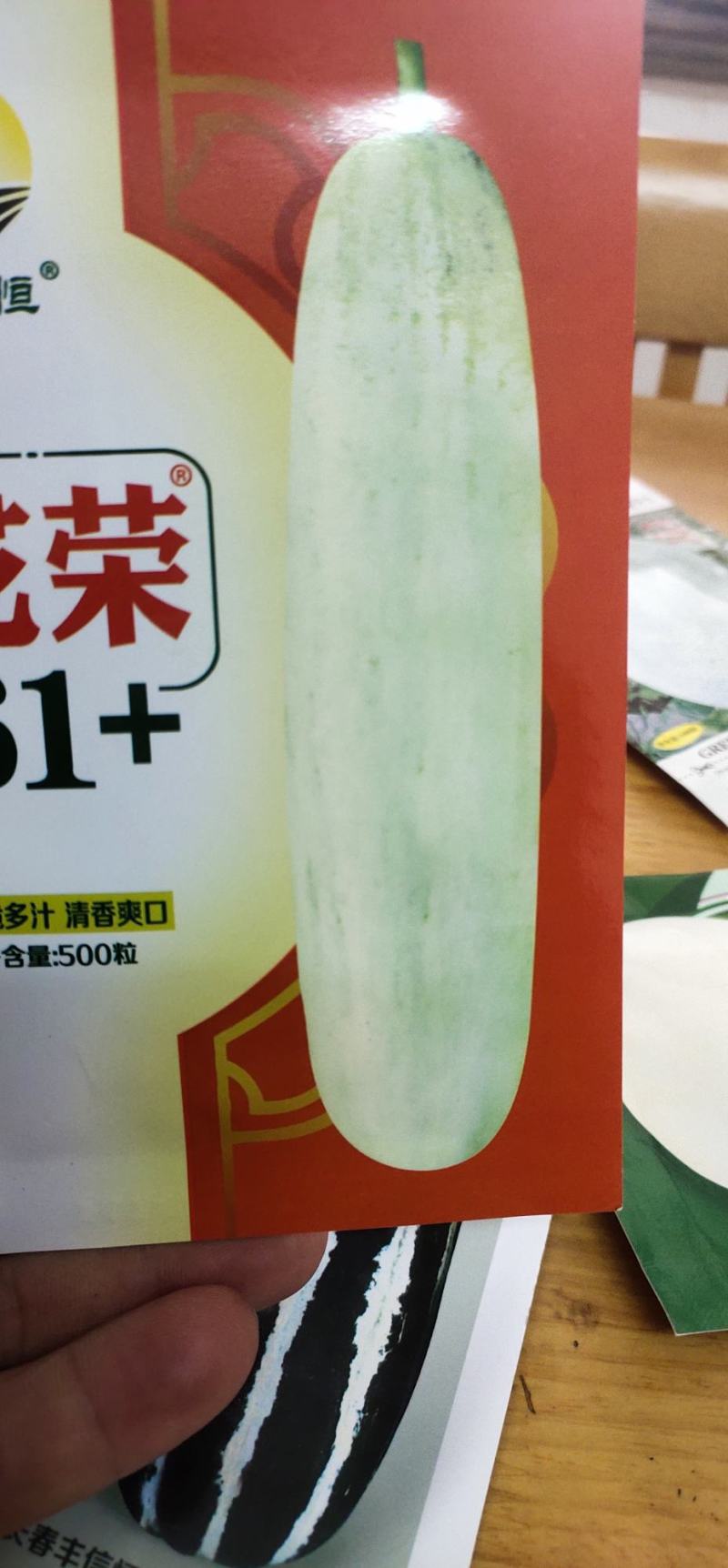 灰白皮绿肉甜瓜种子，花荣61+糖度19.5度