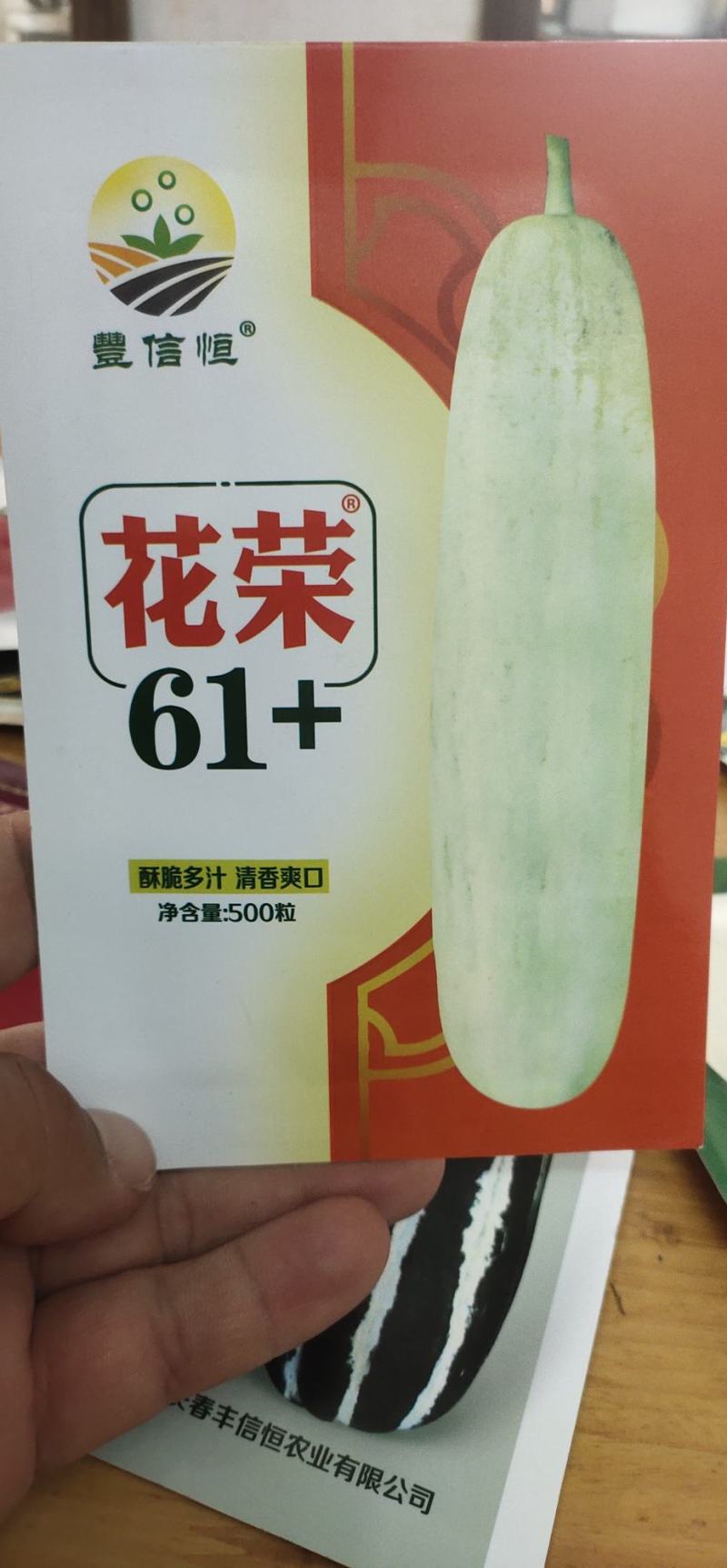 灰白皮绿肉甜瓜种子，花荣61+糖度19.5度