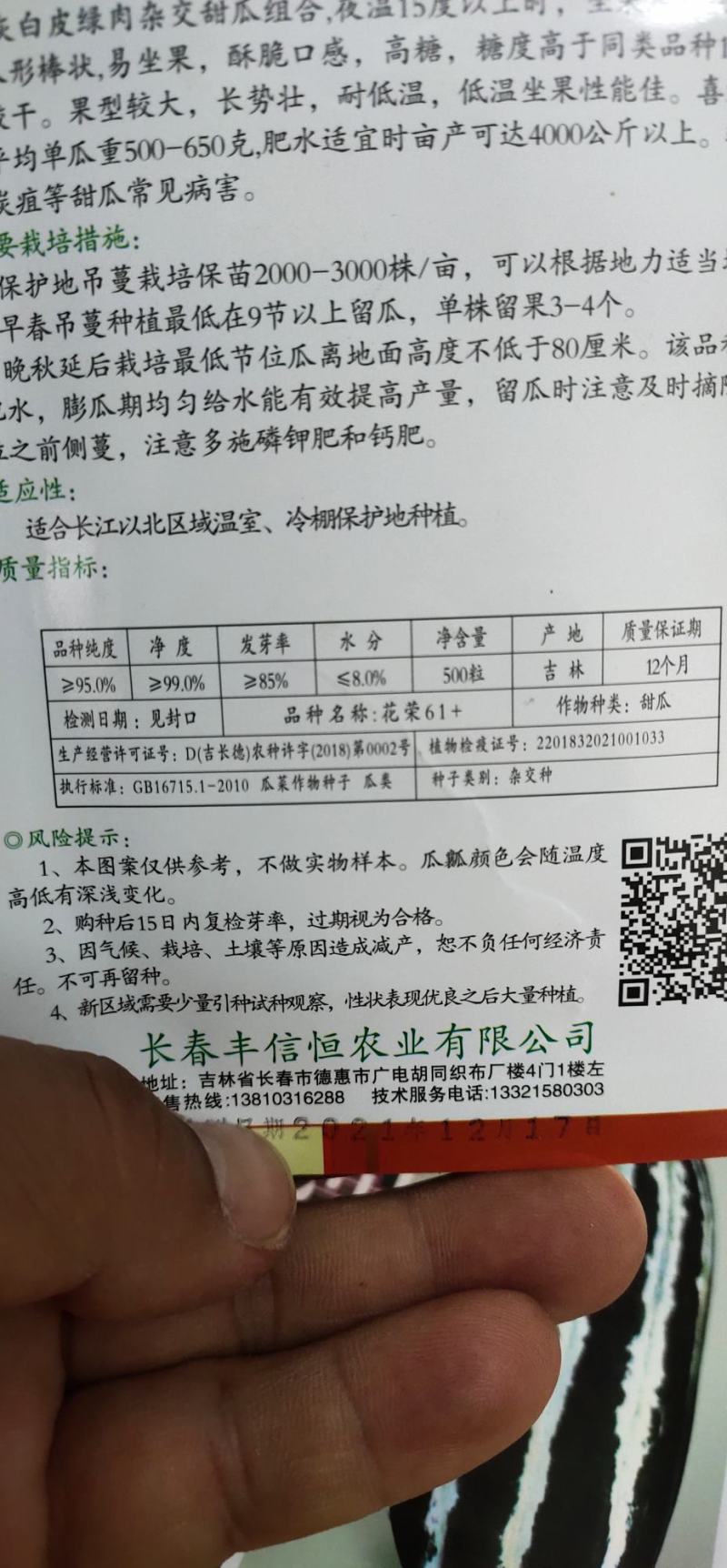 灰白皮绿肉甜瓜种子，花荣61+糖度19.5度