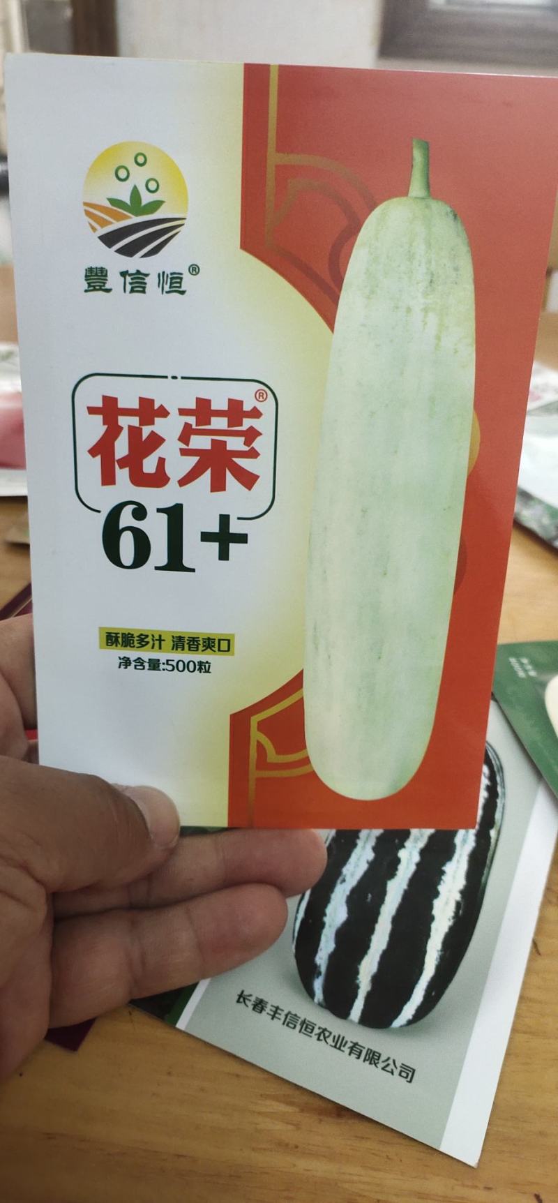 灰白皮绿肉甜瓜种子，花荣61+糖度19.5度