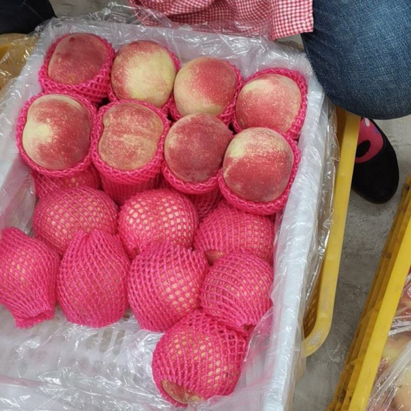 河北唐山遵化毛桃，中华寿桃，9月底开始供应，口感脆甜，
