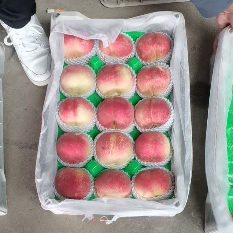 河北唐山遵化毛桃，中华寿桃，9月底开始供应，口感脆甜，