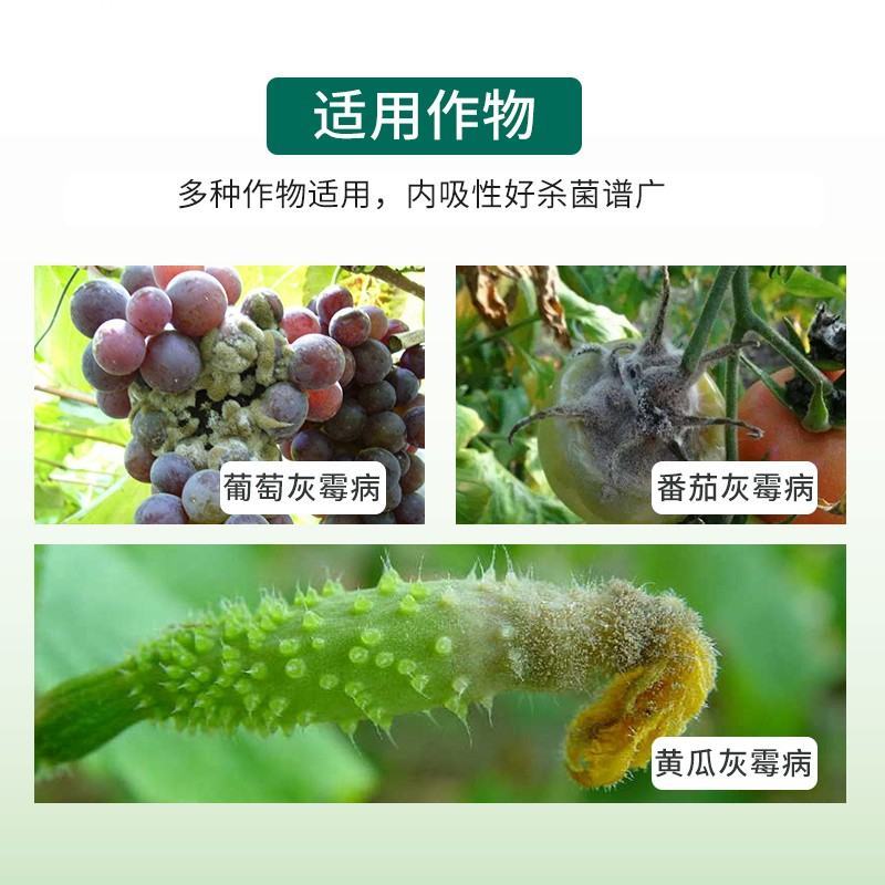 灰霉病杀菌剂嘧霉胺乙霉威黄瓜西红柿叶菜灰霉病杀菌剂