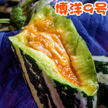 博洋9号甜瓜一手货源一件代发对接电商产地直发