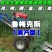 鲁梅克斯种子俄罗斯饲料菜多年生四季牧草鸡鸭鹅牛羊马等