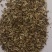 防风种子纯新种子防风籽包芽率包邮质量保证放心采购