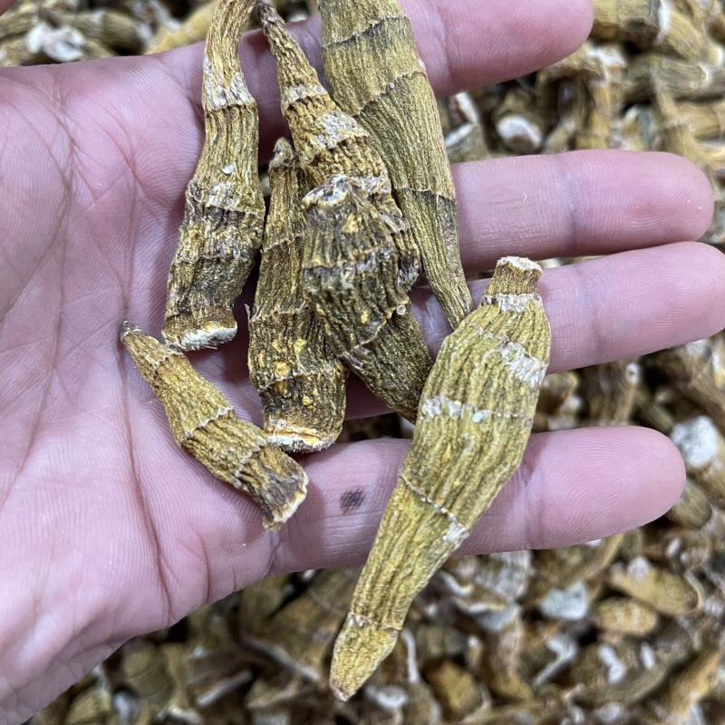 包邮纯野生虎牙石斛芽条（新货）全干新货，纯野生