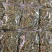 包邮纯野生虎牙石斛芽条（新货）全干新货，纯野生