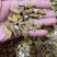 包邮纯野生虎牙石斛芽条（新货）全干新货，纯野生