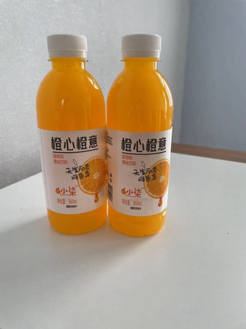 橙心橙意小果汁全国招商中