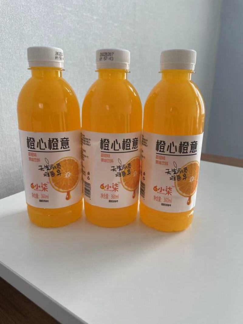 橙心橙意小果汁全国招商中