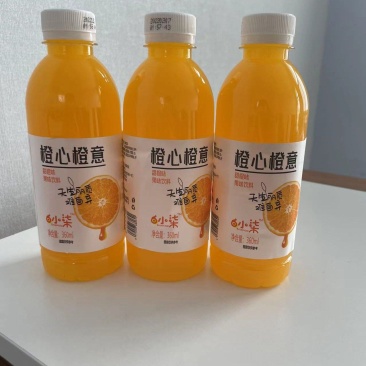 橙心橙意小果汁全国招商中