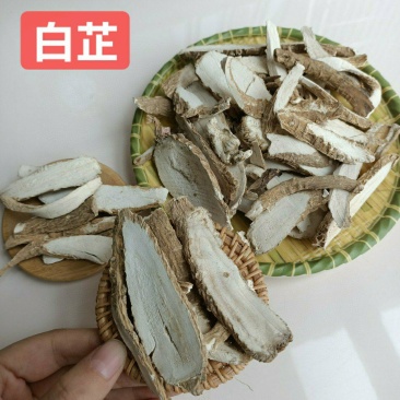 本色白芷片，大片，本色货，能过检，产地直销