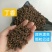 大料，香料调料，丁香,颗粒好，干度好，产地直销