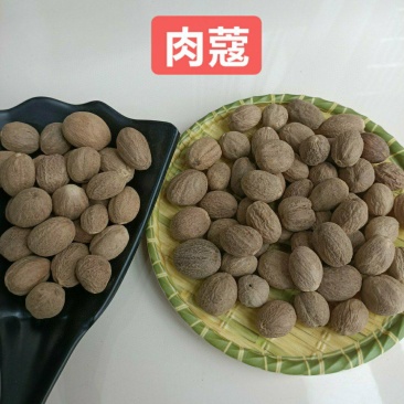 川果肉蔻，颗粒均匀，颜色好，产地直销，大量有货