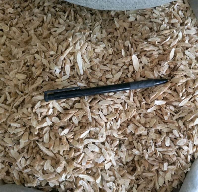 振兴药材批发供应指甲片黄芪规格齐全产地直供一手货源全国发货