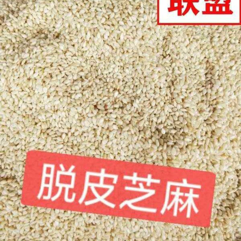 芝麻，白香芝麻，蜕皮白芝麻芝麻，产地直发