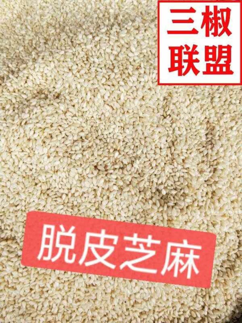芝麻，白香芝麻，蜕皮白芝麻芝麻，产地直发