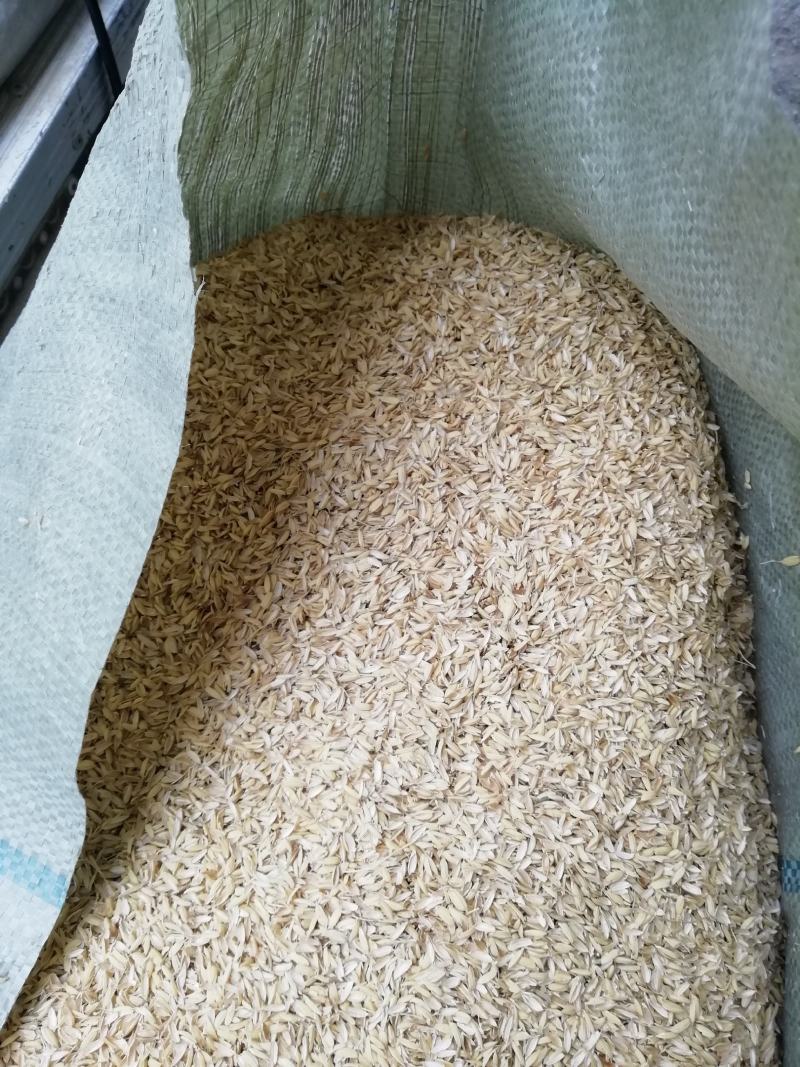厂家除尘稻壳，当年新稻谷加工，适合做酒养殖，养殖当垫料用