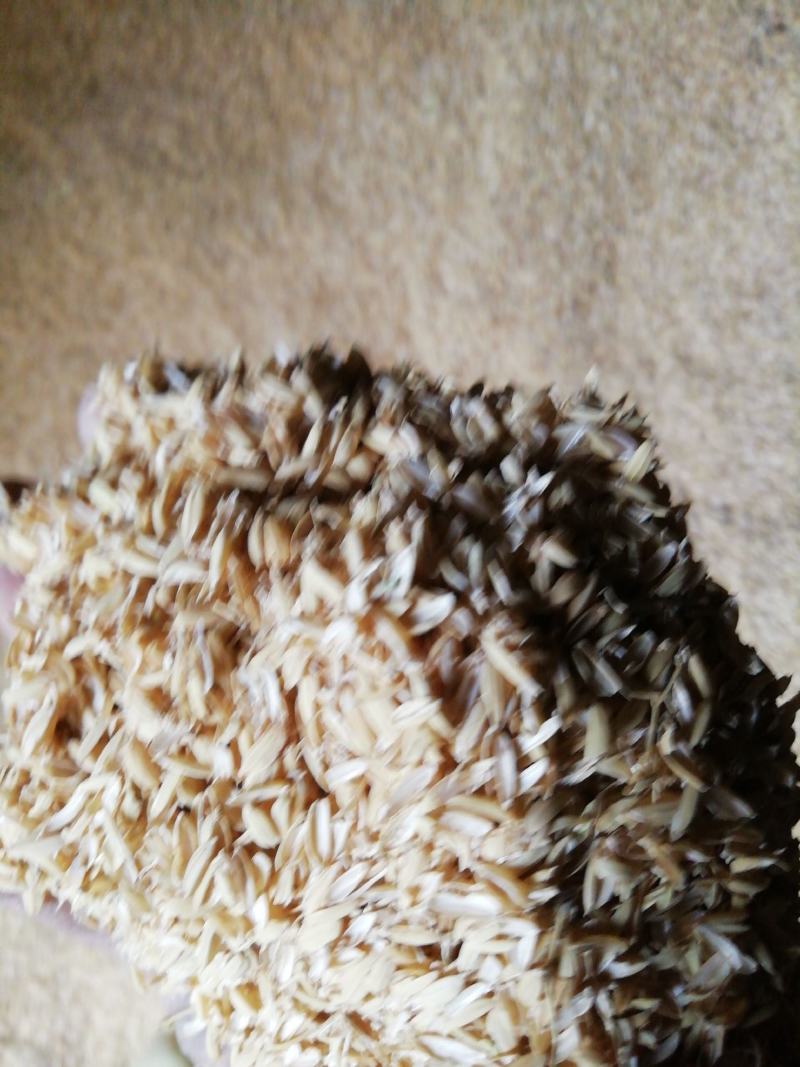 厂家除尘稻壳，当年新稻谷加工，适合做酒养殖，养殖当垫料用