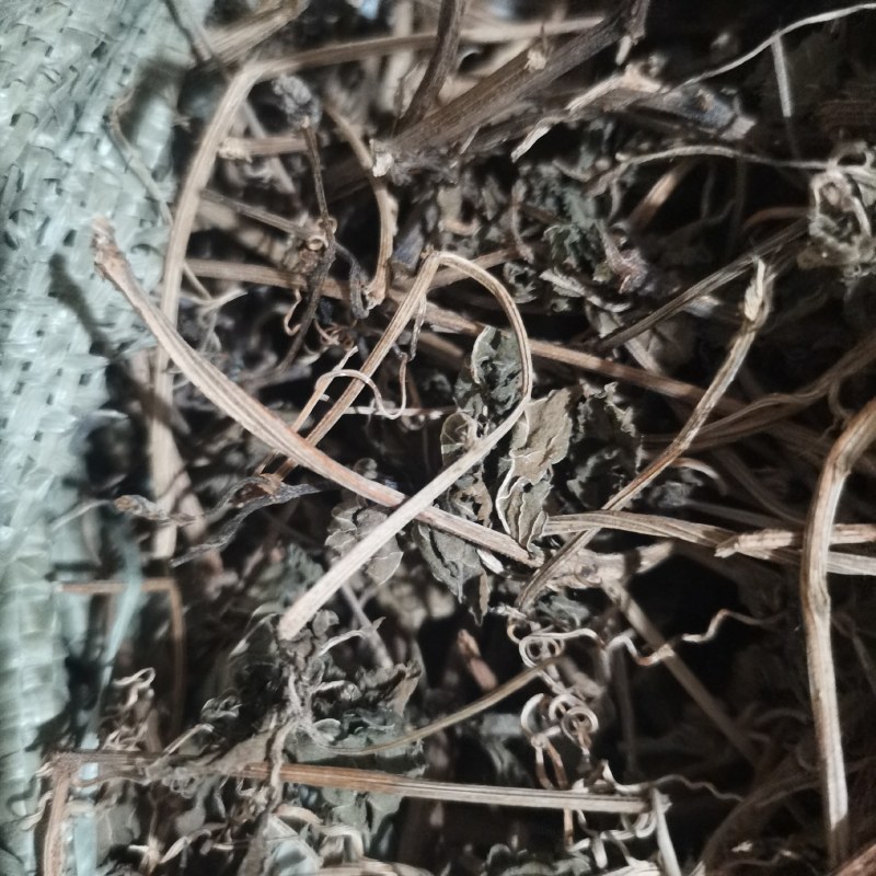 深山野生绞股蓝无硫正品绞股蓝茶无硫中药材