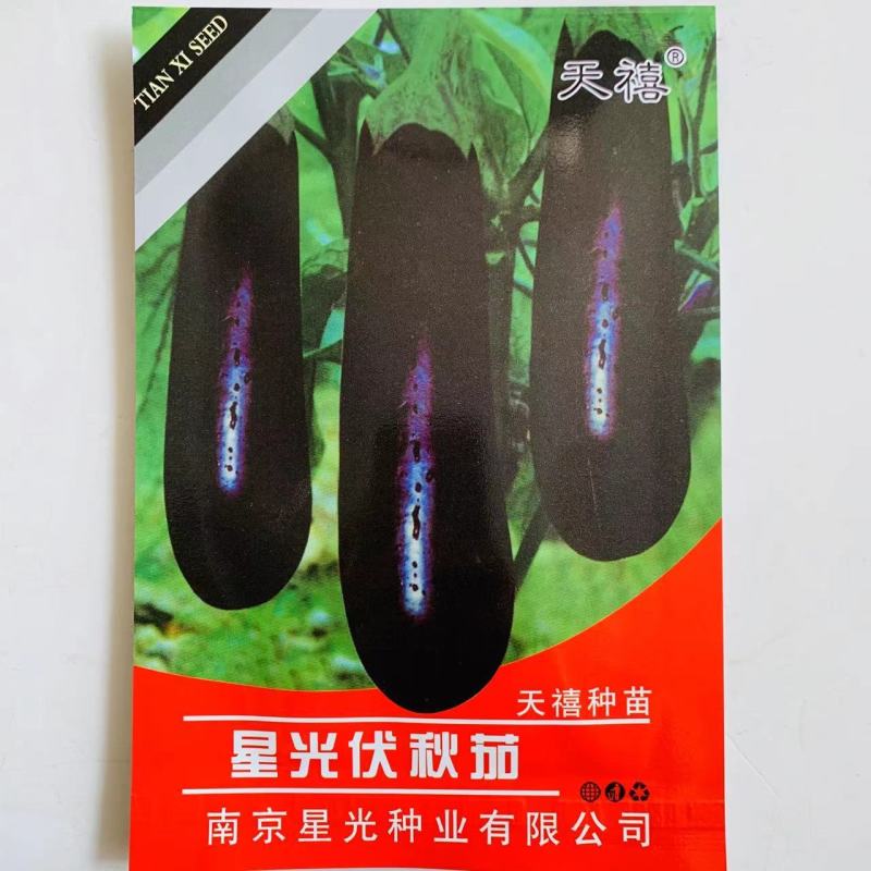 星光伏秋茄绿萼黑茄子种子耐热耐湿耐老果肉白色大田茄子